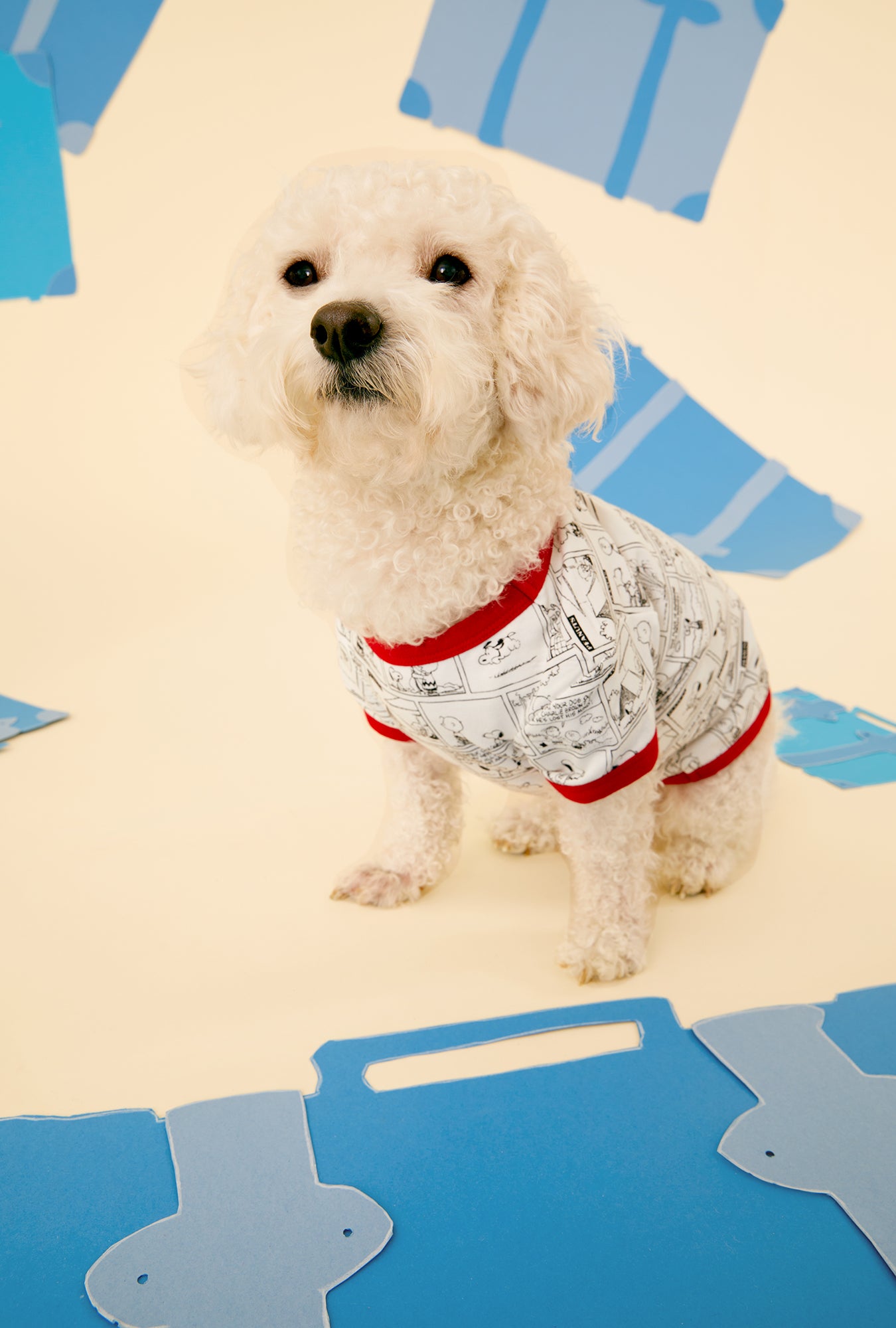 A dog wearing a short sleeve stretch jersey pajama with comic strip pattern.