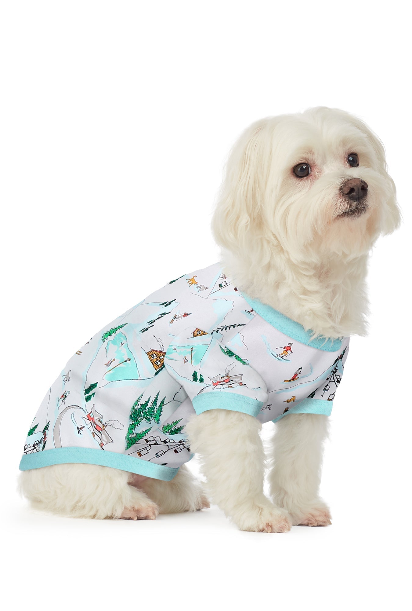 A dog wearing a short sleeve pj set with ski village pattern.