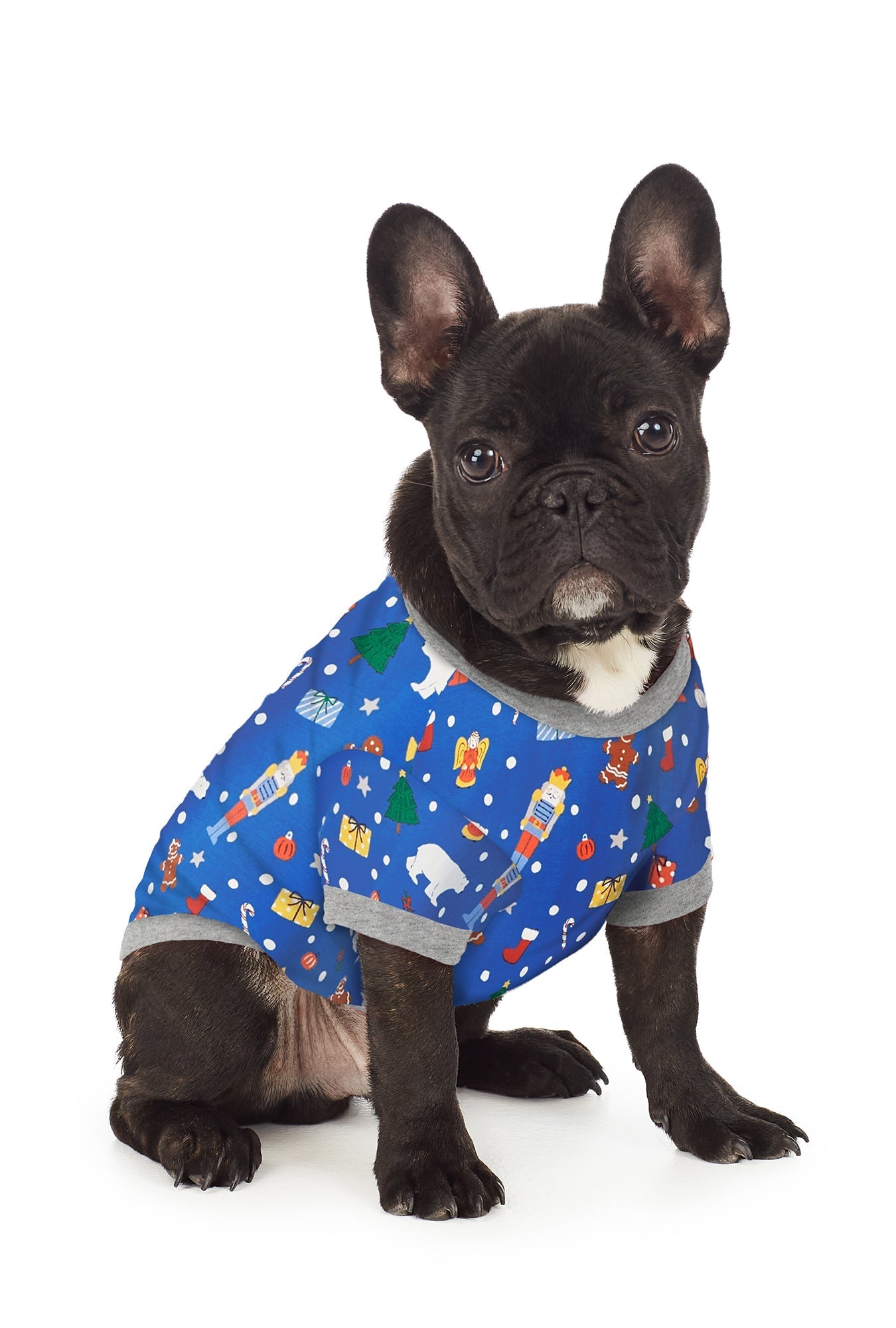 A dog wearing a blue long sleeve pj set with traditions pattern.