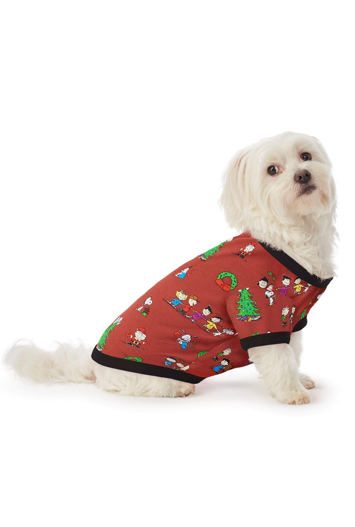 A dog wearing brown short sleeve stretch jersey dog pajama with bedhead x peanuts holiday party print.
